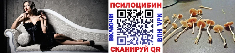 Галлюциногенные грибы MAGIC MUSHROOMS  Усть-Джегута 